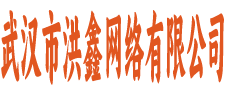 武汉洪鑫网络